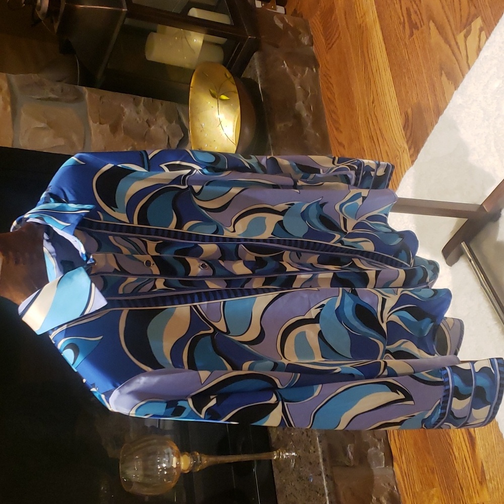 Rachel Zoe Blue and White Button Down Shirt - Picture 3 of 8